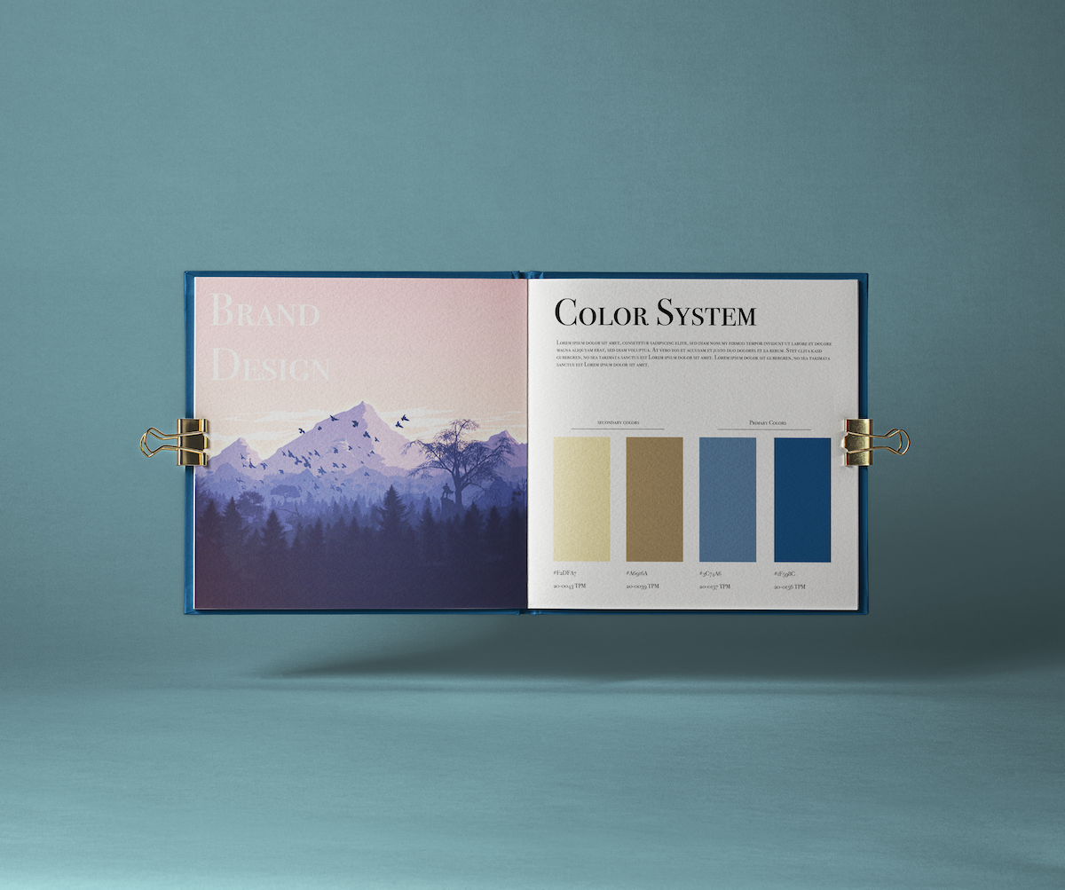 Brand Guidelines in a book 